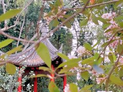 -深圳国际园林花卉博览园