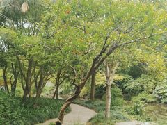-秋霞圃