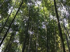 -苏州河梦清园环保主题公园