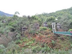 -野象谷景区