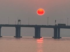 -宝安西湾红树林湿地公园