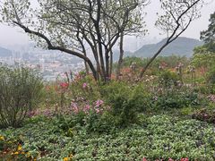 -广州市白云山风景名胜区