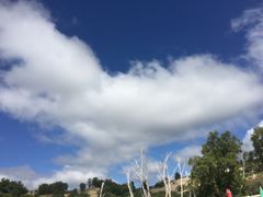 -乌兰布统草原