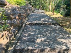 -广州白江湖森林公园