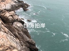 -广东惠东海龟国家级自然保护区