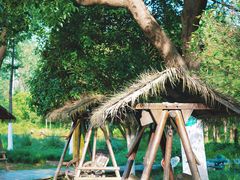 -合肥滨湖国家森林公园