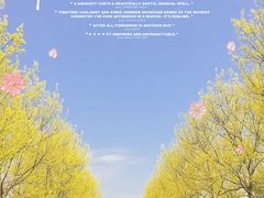 -花开海上生态园