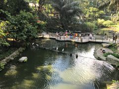 -吉隆坡雀鸟公园