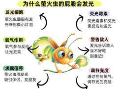 -古力古利托育早教中心(澳门路校区)