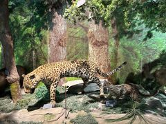 -重庆中国三峡博物馆(重庆博物馆)