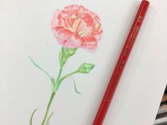 -八哥美术·成人美术画室(总校区)