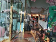 -糯米喵星人总部直营旗舰店·猫舍·幼猫出售