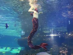 -沙沙哗啦海洋馆(华宇百花谷店)