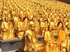 -神龟馅饼(古陌路店)