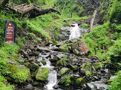 -凤凰山国家森林公园