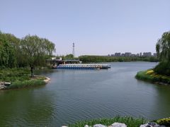 -大兴滨河森林公园