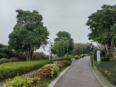 -立新湖公园