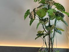 -HITEA嘆萃(北江新区店)