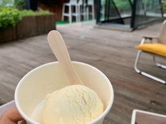 -北京市东城区东四九条小学