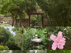 -大连植物园