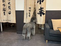 -沏点Trattoria意大利餐厅(新街口店)