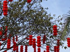 -莲花山公园