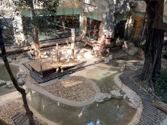 -麒麟中餐厅·经典粤菜·地道菜式老字号(广州长隆酒店)