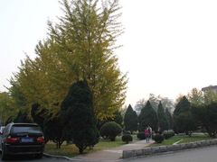 -辽宁大学(崇山校区)