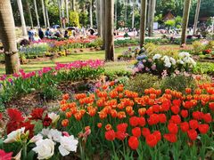 -深圳仙湖植物园