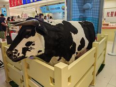 -红星前进面包牛奶公司(君太店)