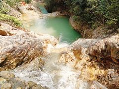 -南海湾森林生态园