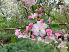 -海棠花溪(元大都城垣遗址公园)