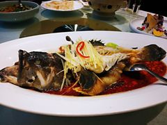 -鞍山大白鲨美食酒店