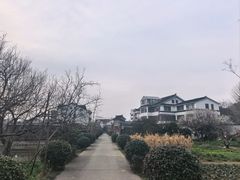 -三山岛