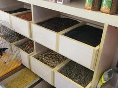 -宠爱我(南山店)
