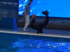 -锦艺城海洋馆