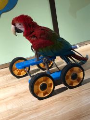 -未来动物城动物主题公园(大悦城店)