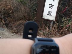 -浙西大龙湾