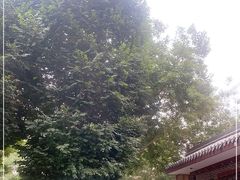 -敦煌市博物馆