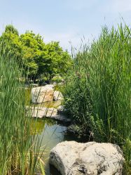 -大望京儿童游乐场