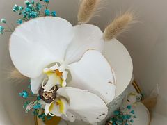 -Biteology Artisan Cakes(红庄·国际文化保税创新园店)