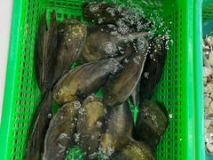 -众味海鲜大排档·活海鲜·潮汕味(南澳店)