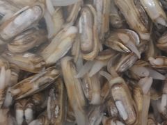 -宾朋海鲜特色美食餐厅·纯手工鲅鱼水饺(兴海路店)