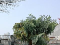 -广州神农草堂中医药博物馆