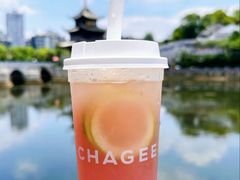 -霸王茶姬(南强街店)