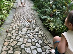 -广州锦绣香江度假别墅