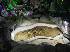 -泉城欧乐堡海洋极地世界