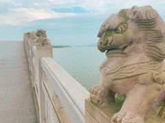 -湖南东洞庭湖国家级自然保护区