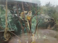 -贵州森林野生动物园