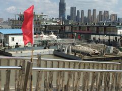 -武汉关码头(轮渡站)